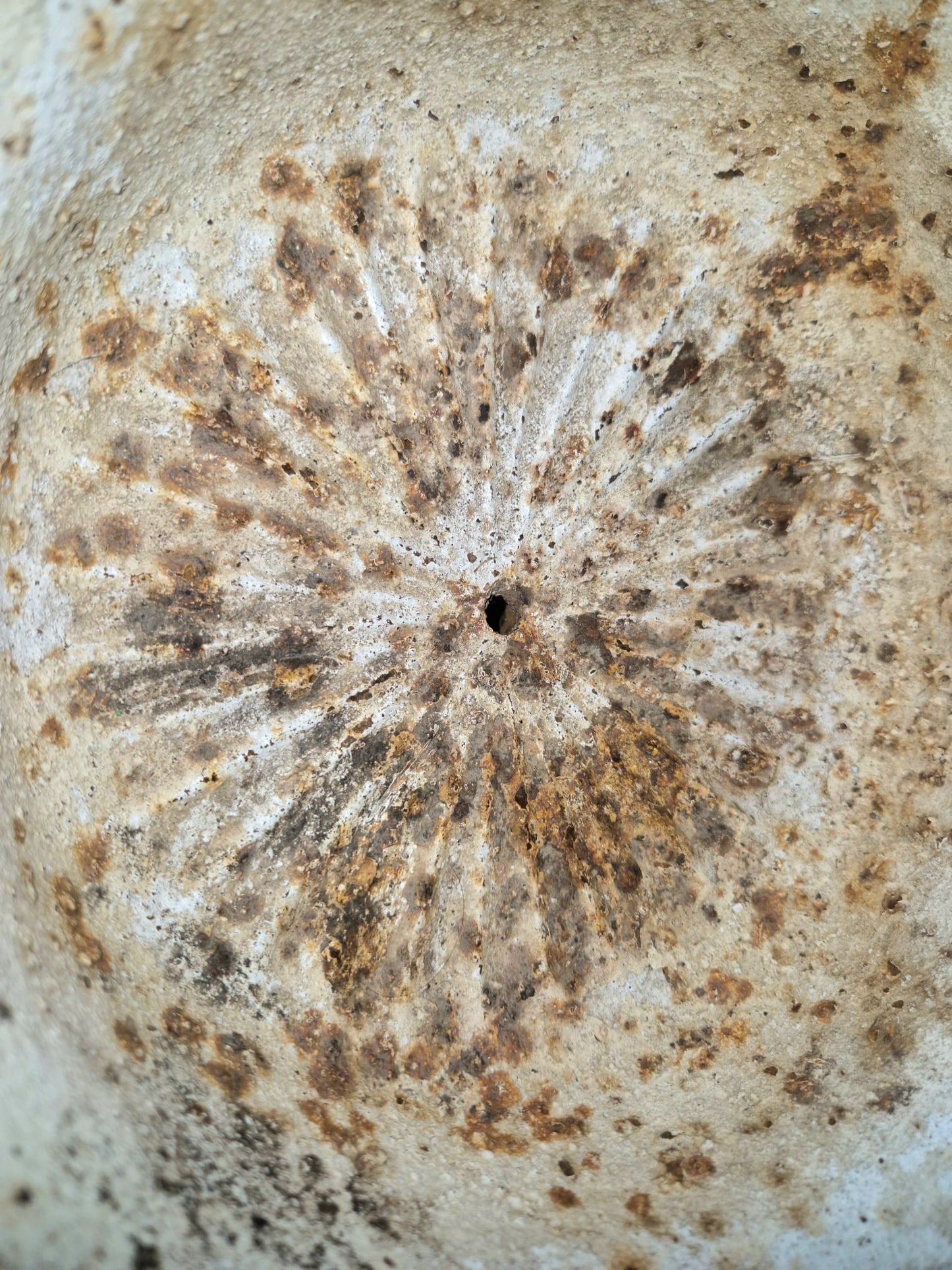 Antique White Cast Iron Tazza Urn Garden Urn