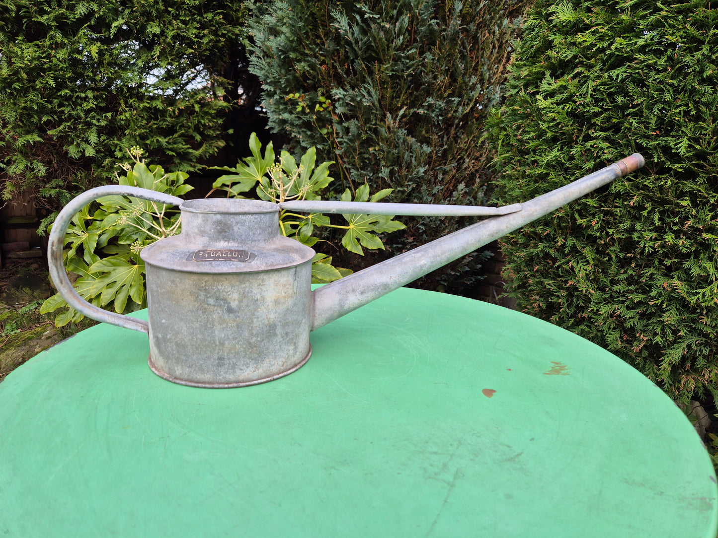 Vintage RARE 3/4 Gallon Galvanised Long Reach Watering Can Brass Badge