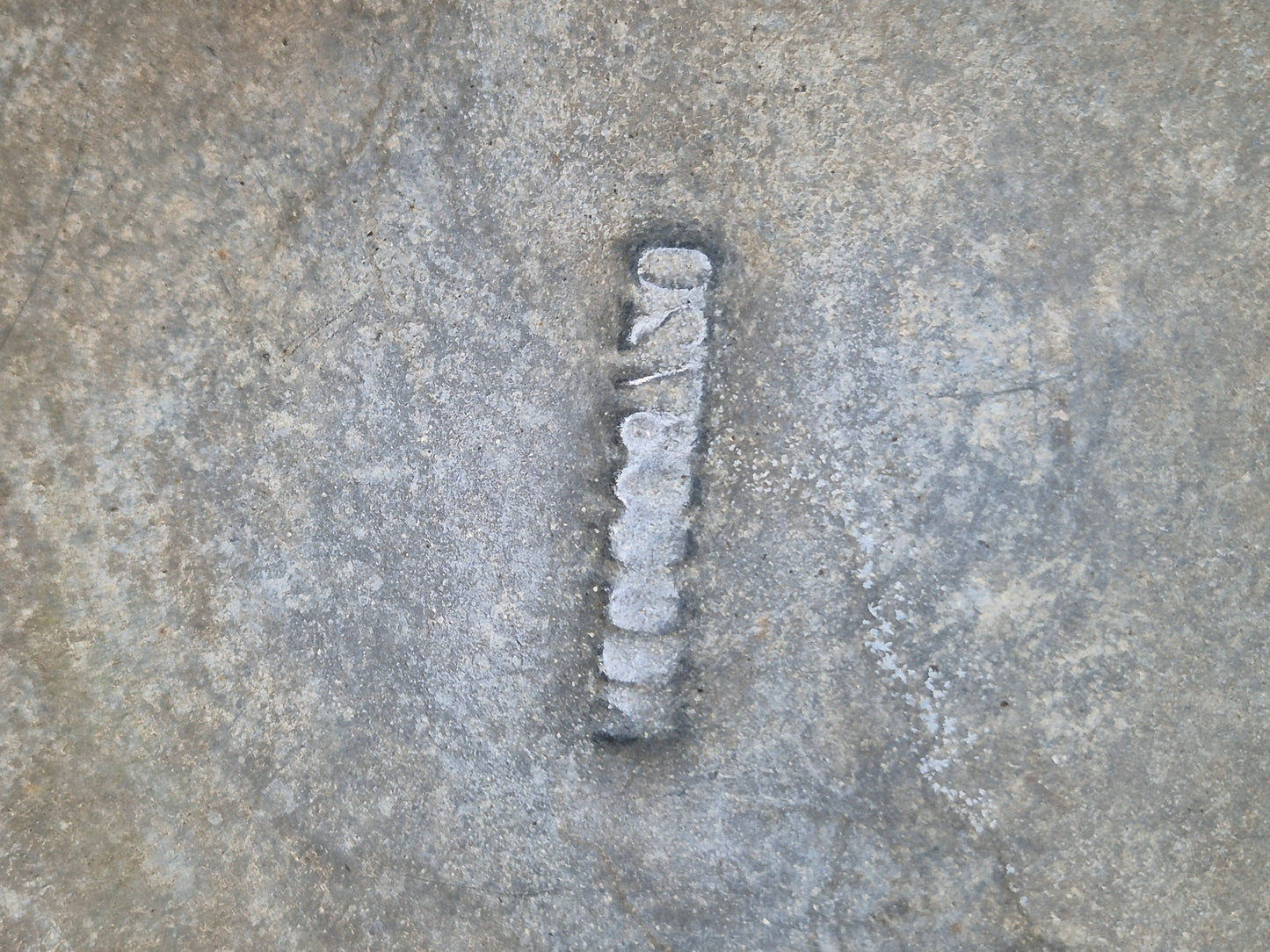 Vintage RARE 3/4 Gallon Galvanised Long Reach Watering Can Brass Badge