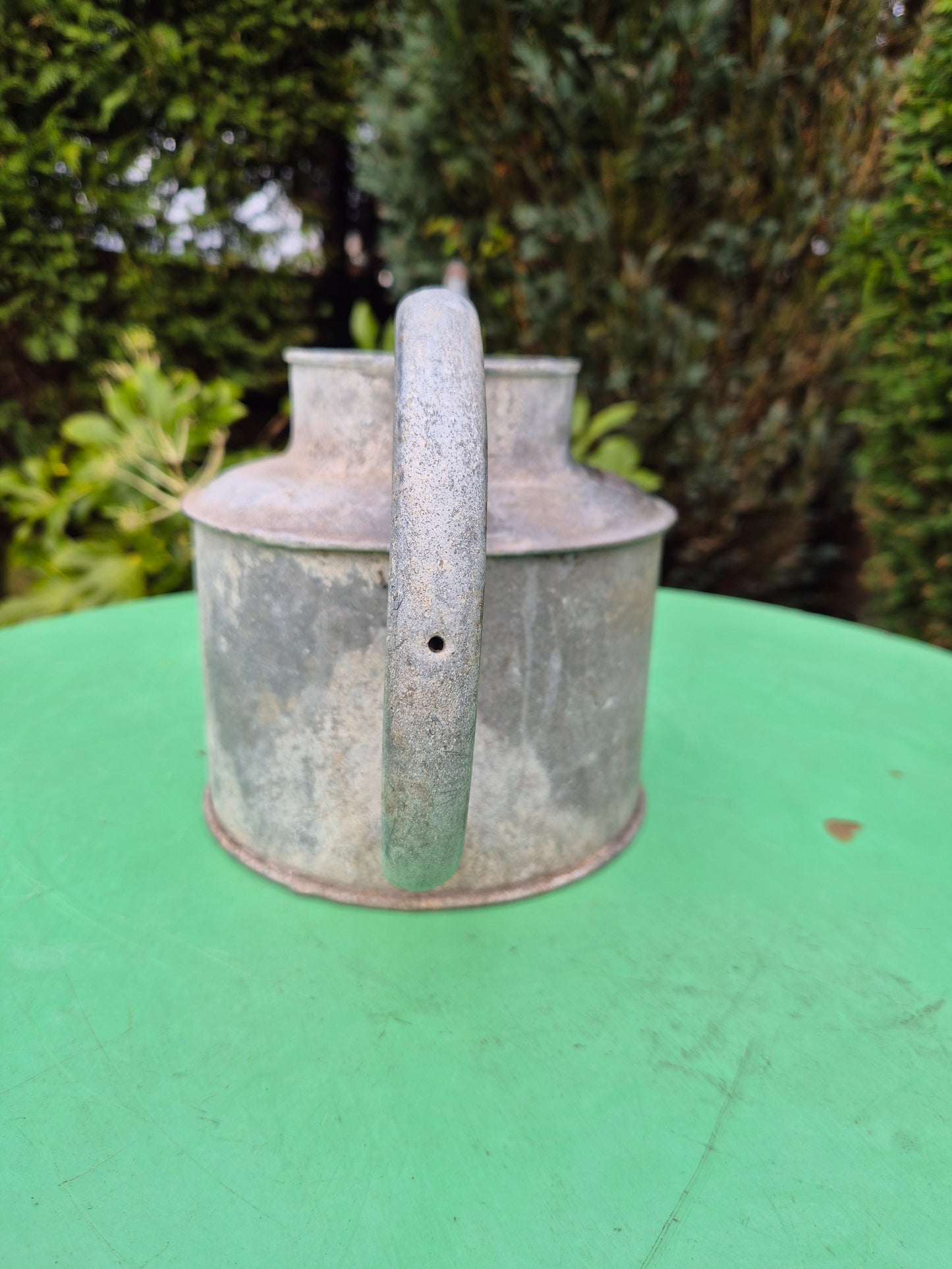 Vintage RARE 3/4 Gallon Galvanised Long Reach Watering Can Brass Badge