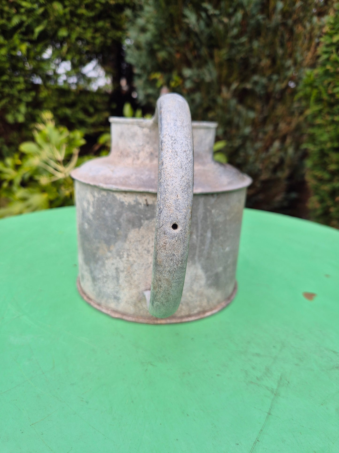 Vintage RARE 3/4 Gallon Galvanised Long Reach Watering Can Brass Badge