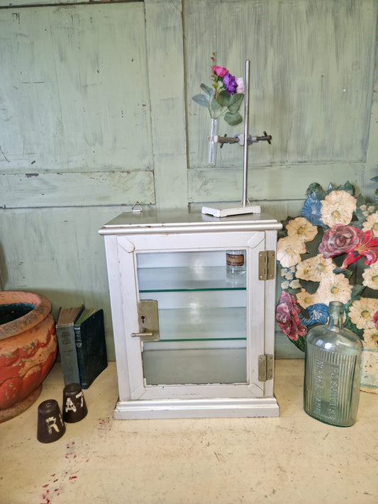 Antique Chemist Medical Medicine Collectors Metal And Glass Cabinet 2 X Shelves