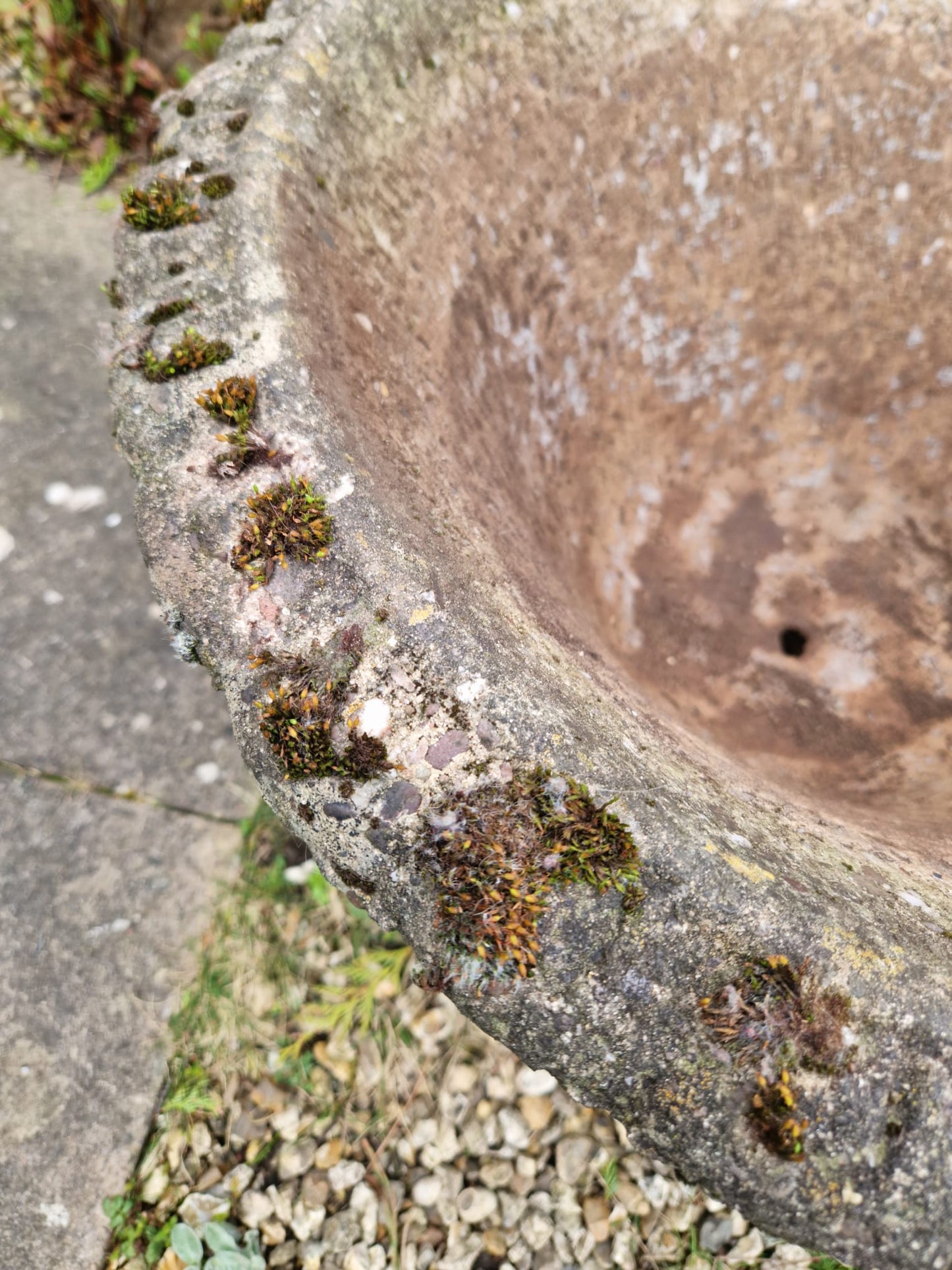 Beautiful Vintage Garden Urn Planter Trough