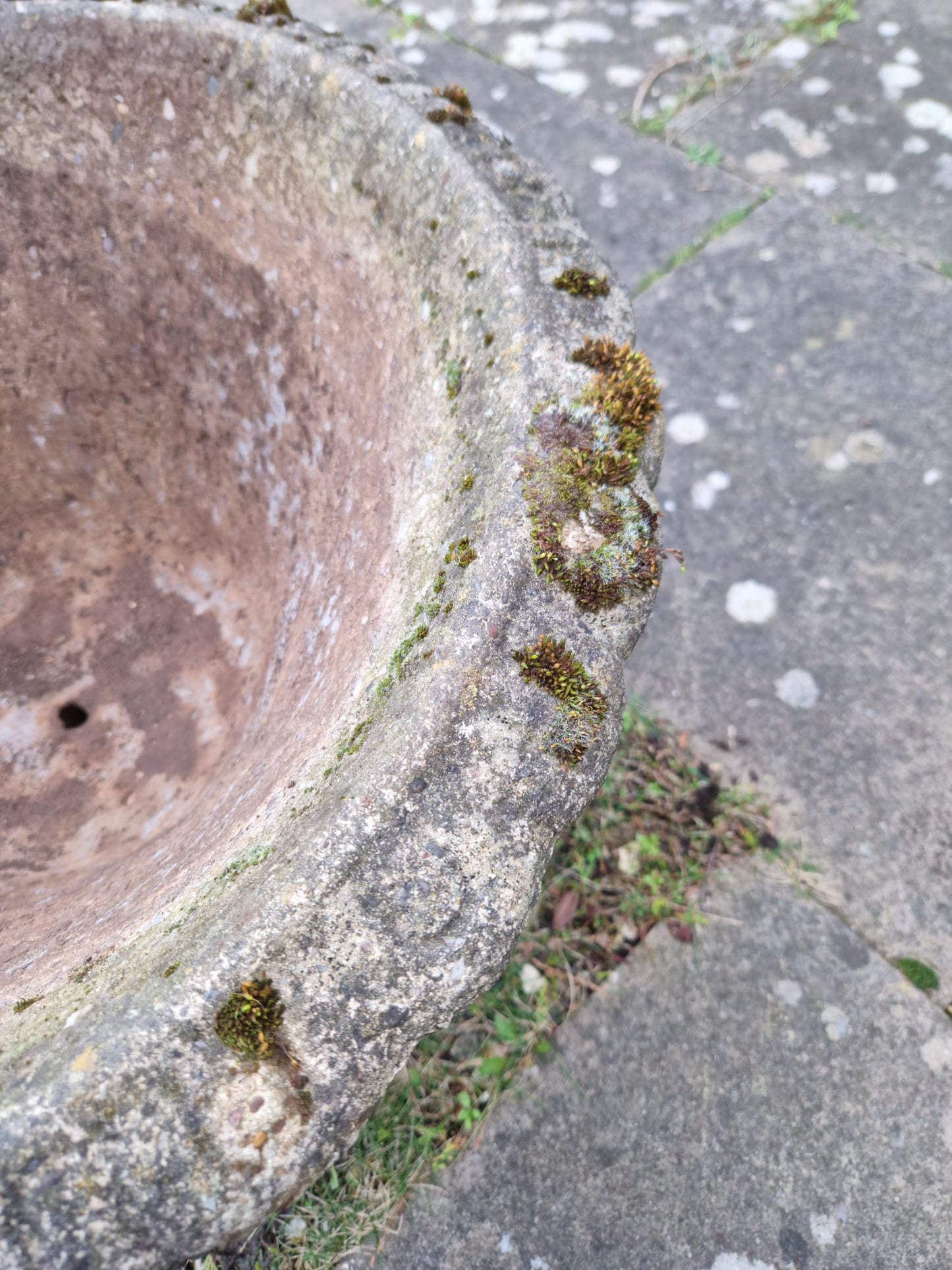 Beautiful Vintage Garden Urn Planter Trough