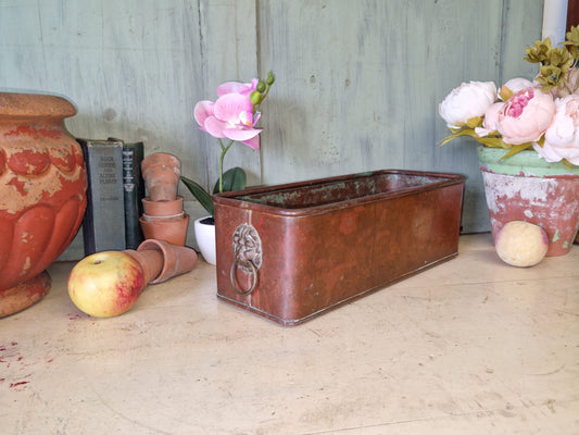 Vintage Copper Trough Tub Old Brass Lion Handles Planter Plant Pot Windowsill Container