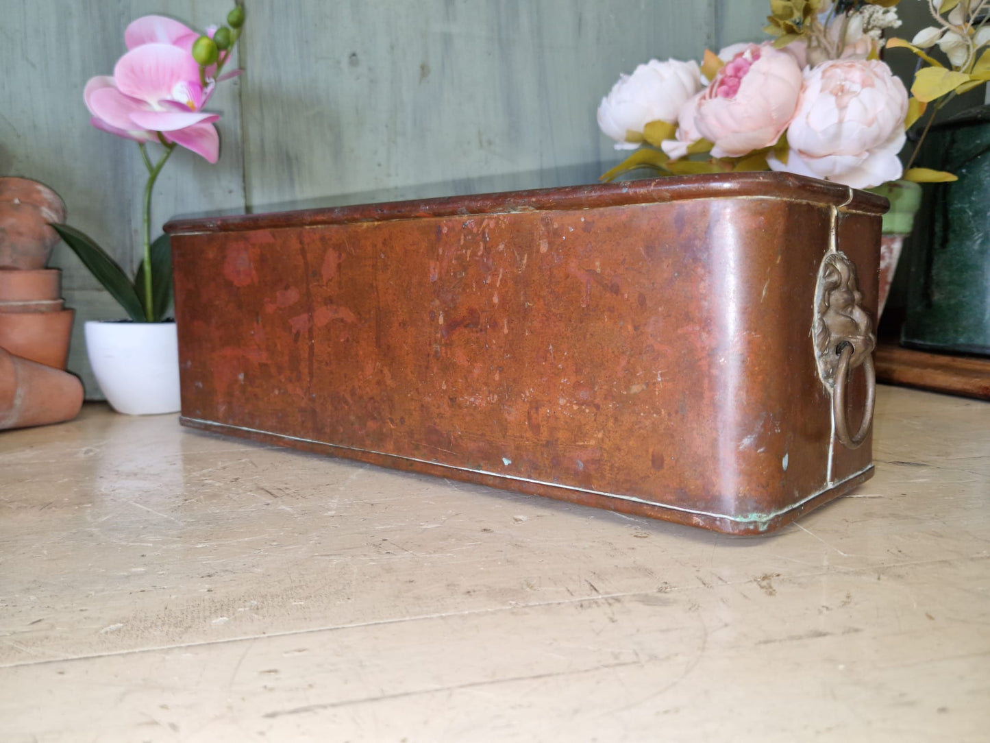 Vintage Copper Trough Tub Old Brass Lion Handles Planter Plant Pot Windowsill Container