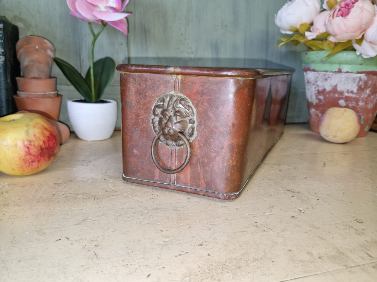 Vintage Copper Trough Tub Old Brass Lion Handles Planter Plant Pot Windowsill Container