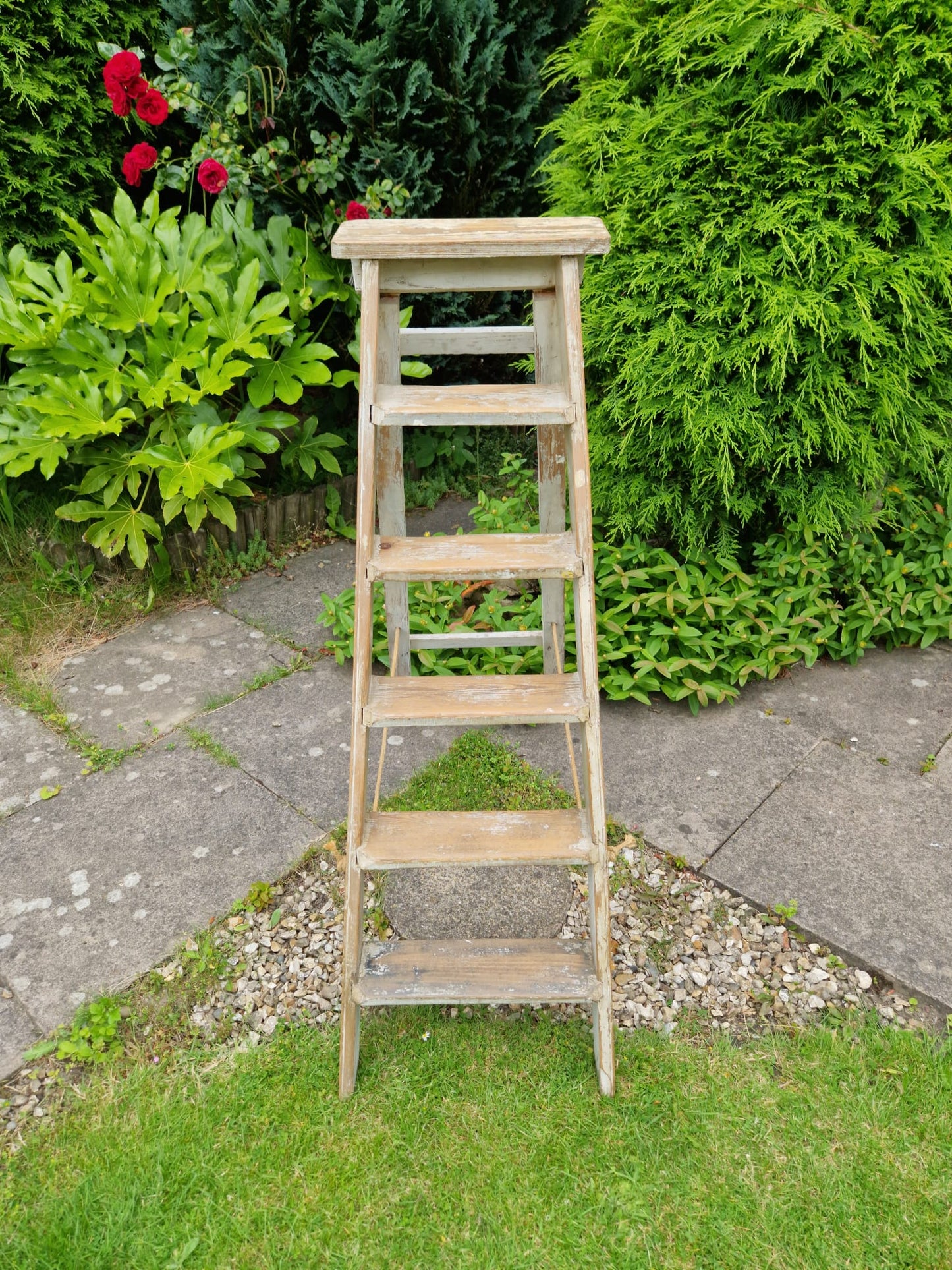 Vintage Ladders Cream Paint Great Prop Interiors Display Stepladders Rustic