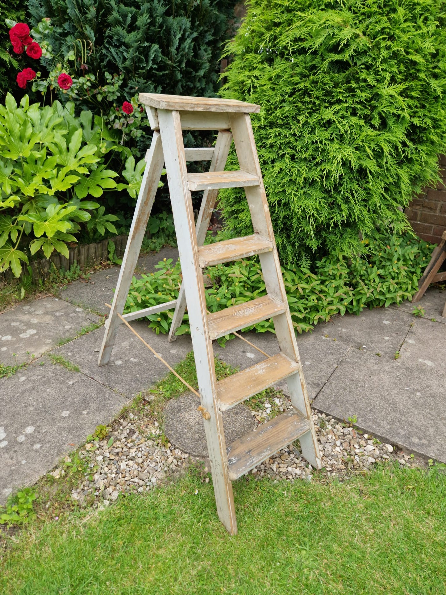 Vintage Ladders Cream Paint Great Prop Interiors Display Stepladders Rustic