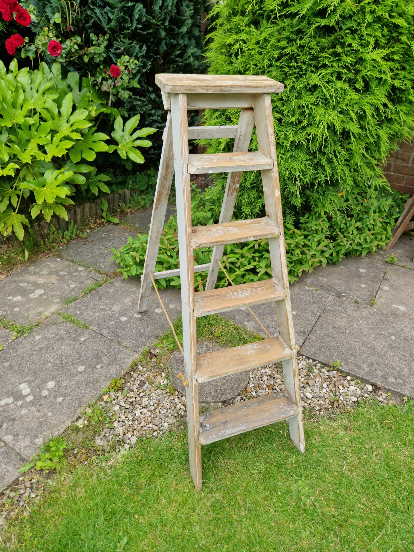 Vintage Ladders Cream Paint Great Prop Interiors Display Stepladders Rustic