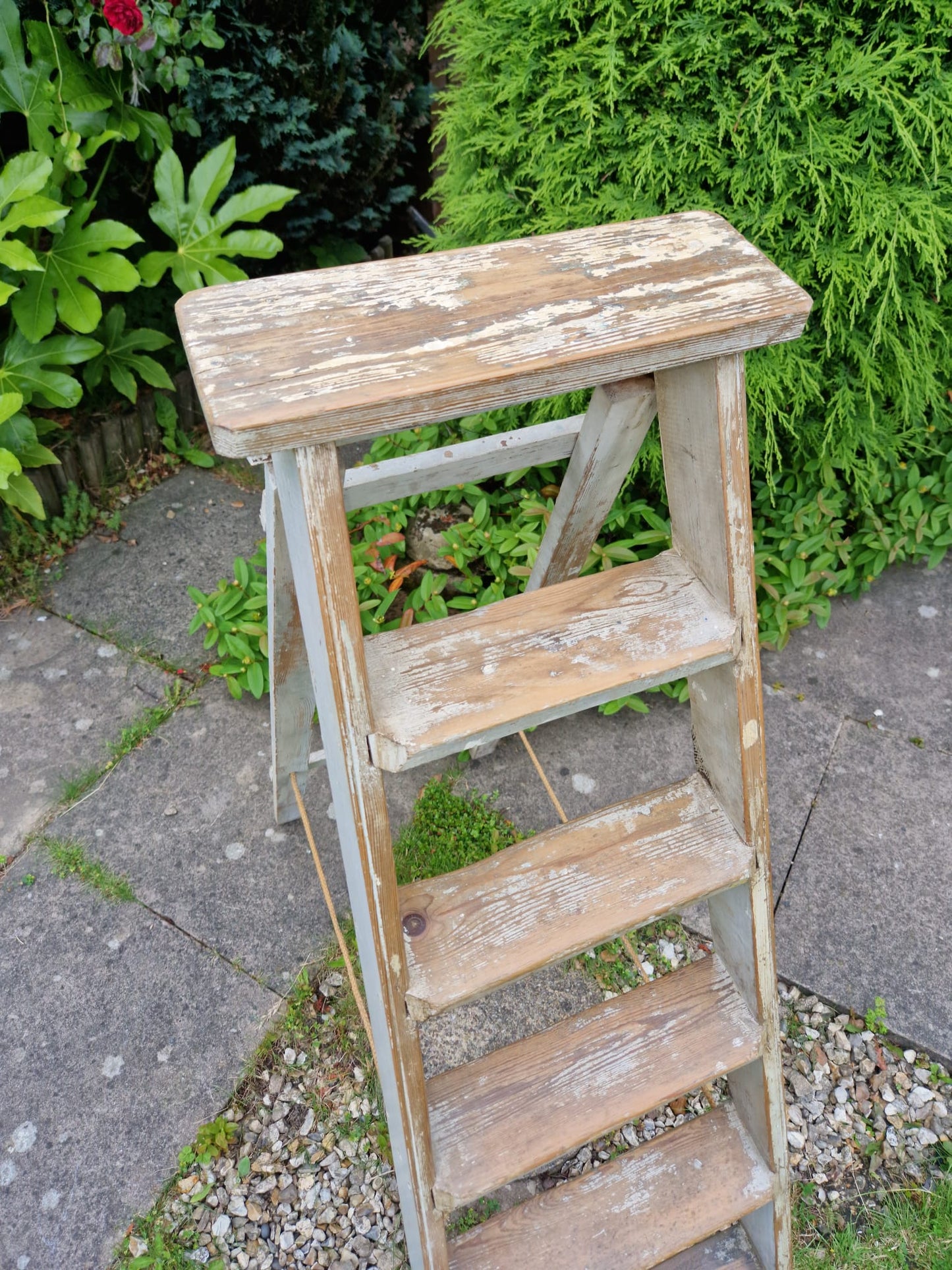 Vintage Ladders Cream Paint Great Prop Interiors Display Stepladders Rustic