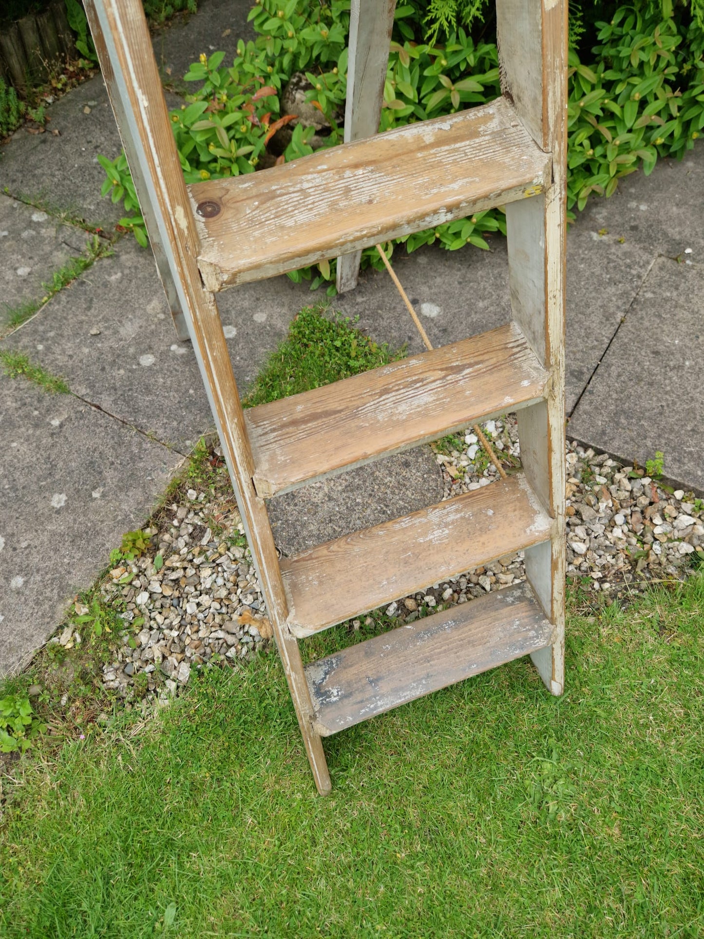 Vintage Ladders Cream Paint Great Prop Interiors Display Stepladders Rustic