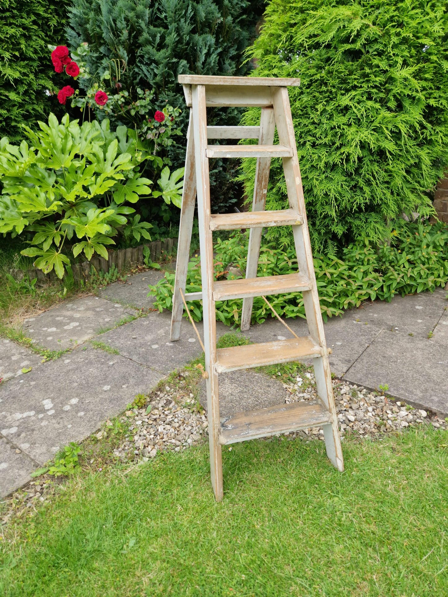 Vintage Ladders Cream Paint Great Prop Interiors Display Stepladders Rustic