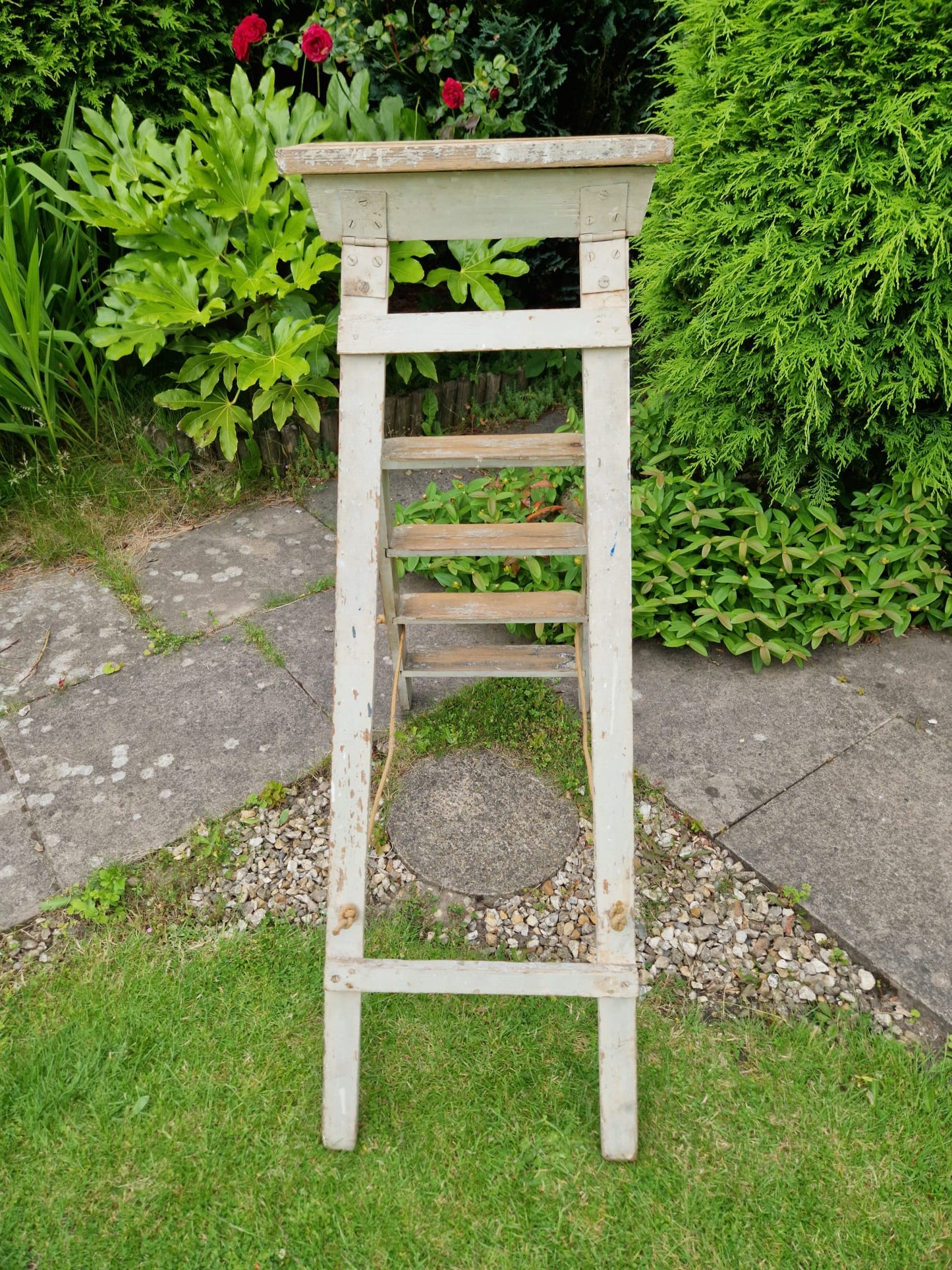 Vintage Ladders Cream Paint Great Prop Interiors Display Stepladders Rustic