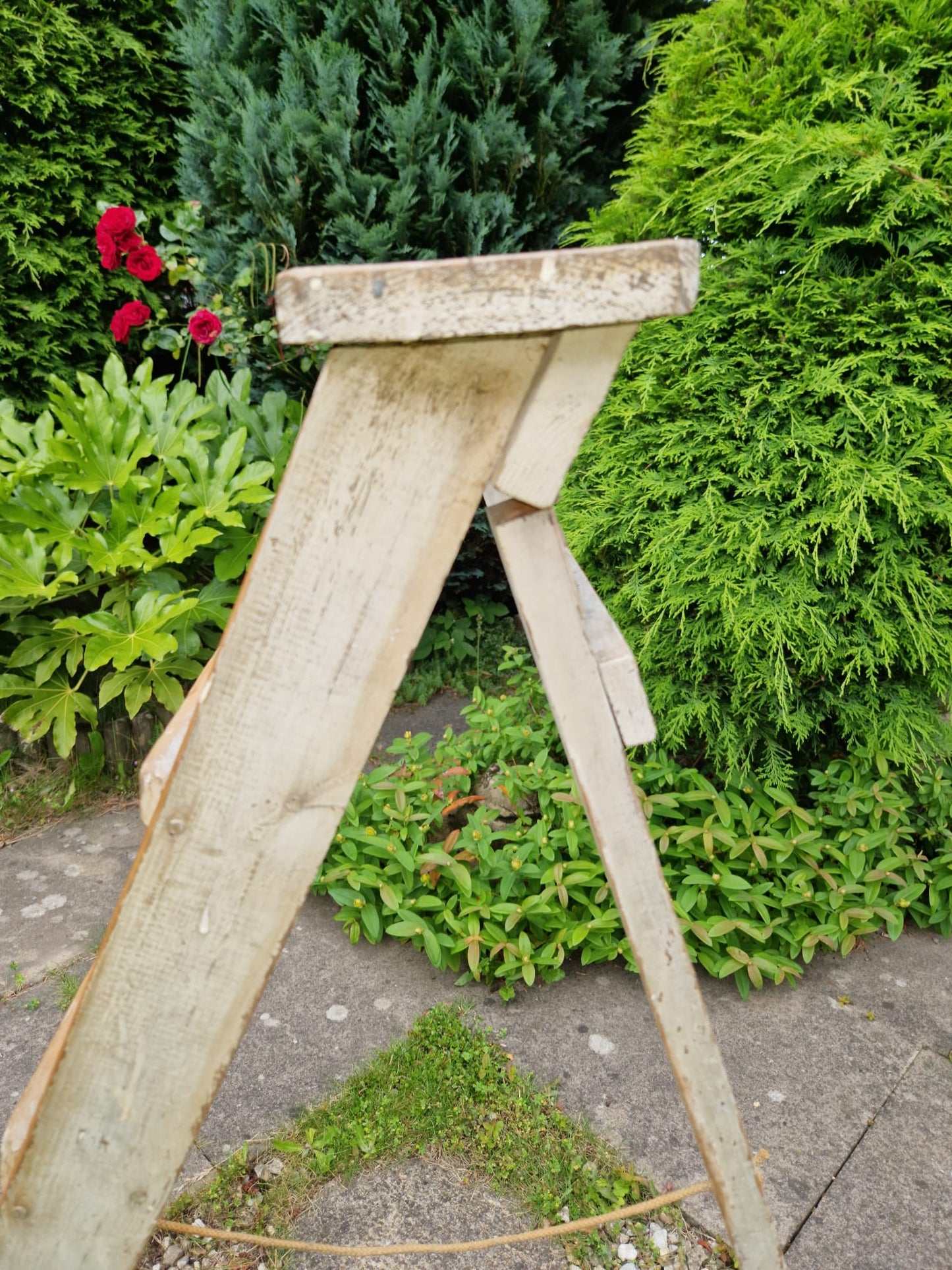 Vintage Ladders Cream Paint Great Prop Interiors Display Stepladders Rustic