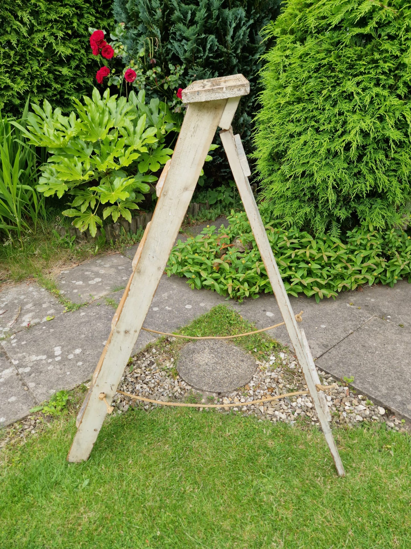 Vintage Ladders Cream Paint Great Prop Interiors Display Stepladders Rustic