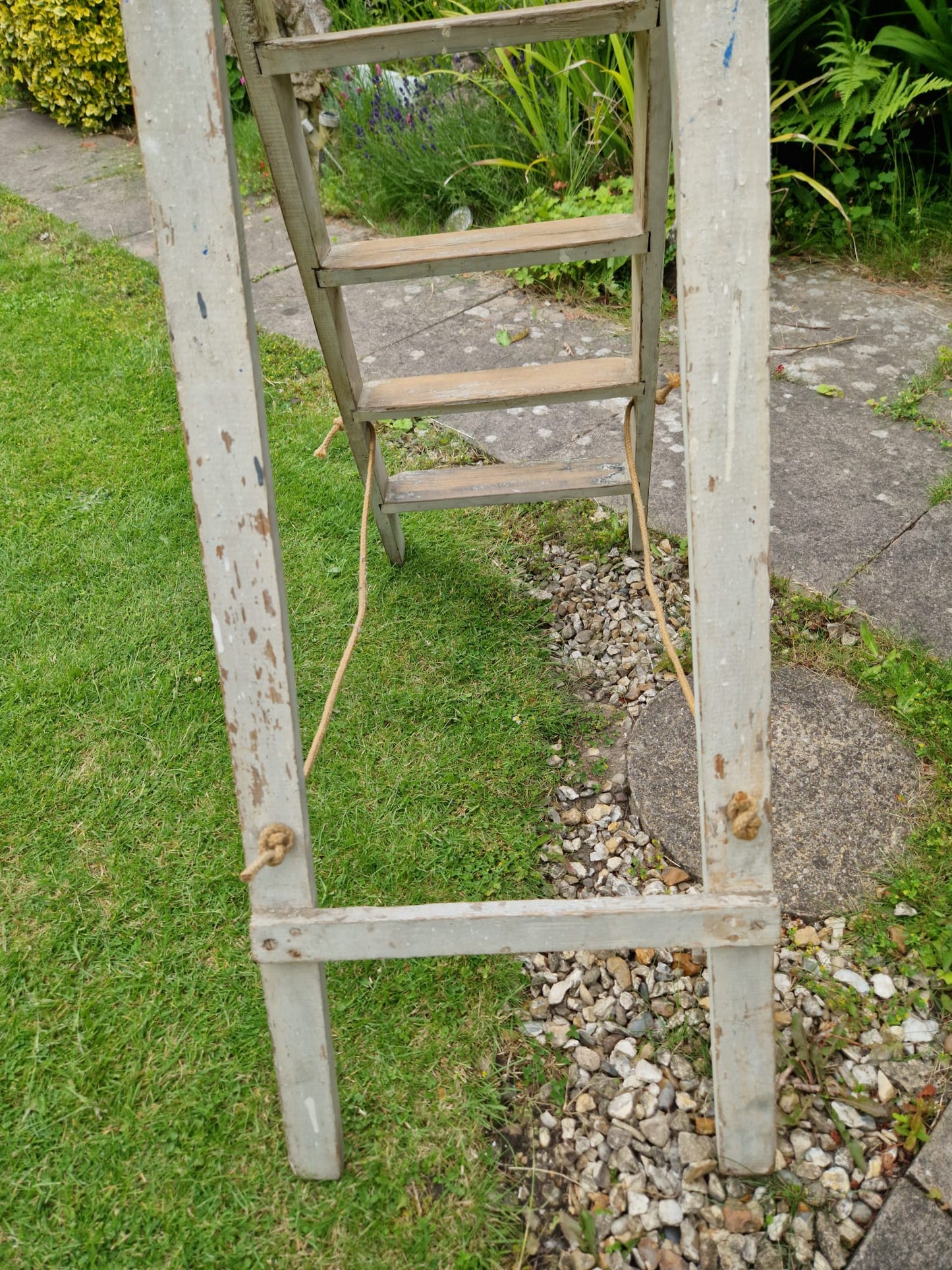 Vintage Ladders Cream Paint Great Prop Interiors Display Stepladders Rustic