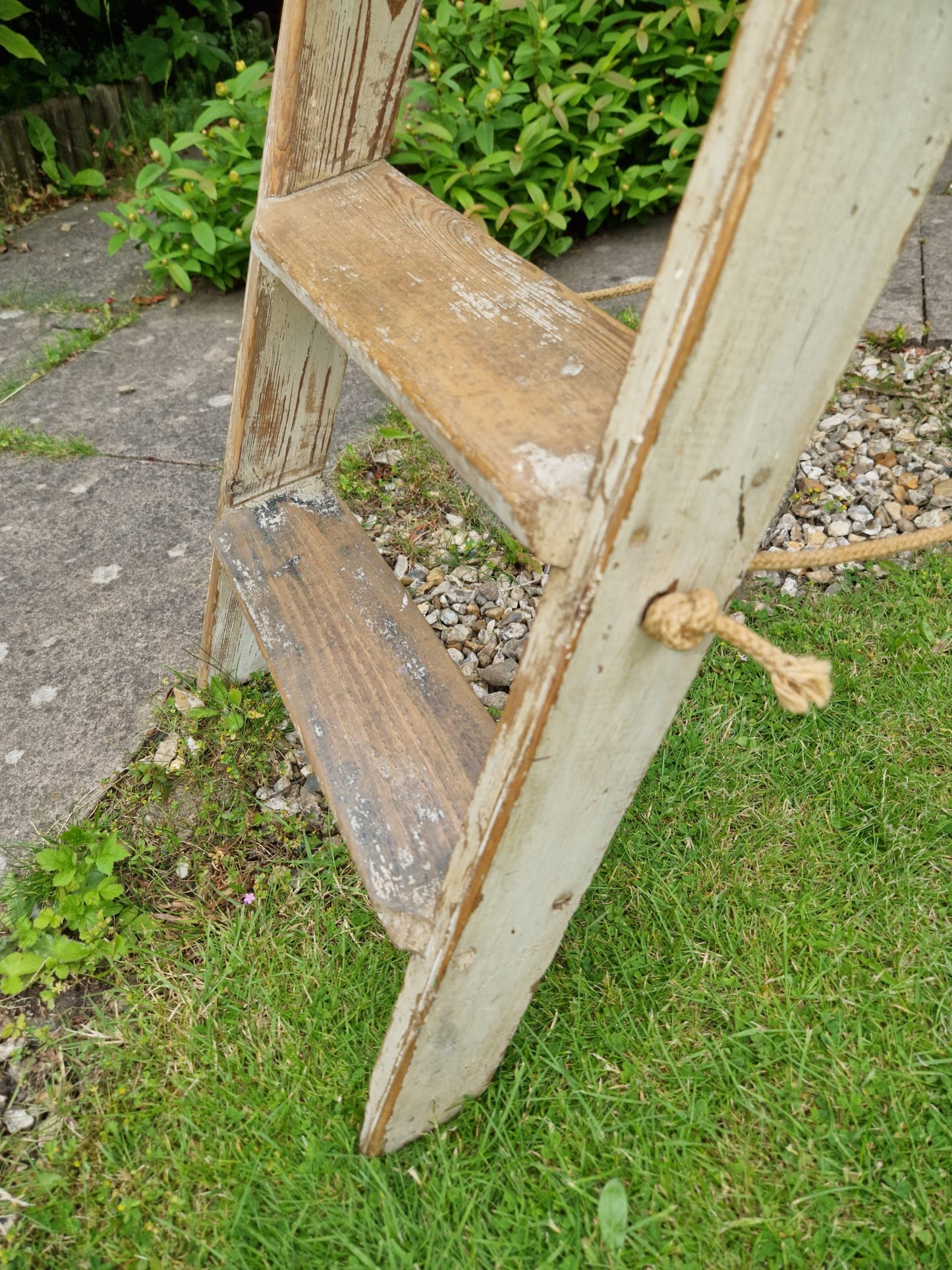 Vintage Ladders Cream Paint Great Prop Interiors Display Stepladders Rustic