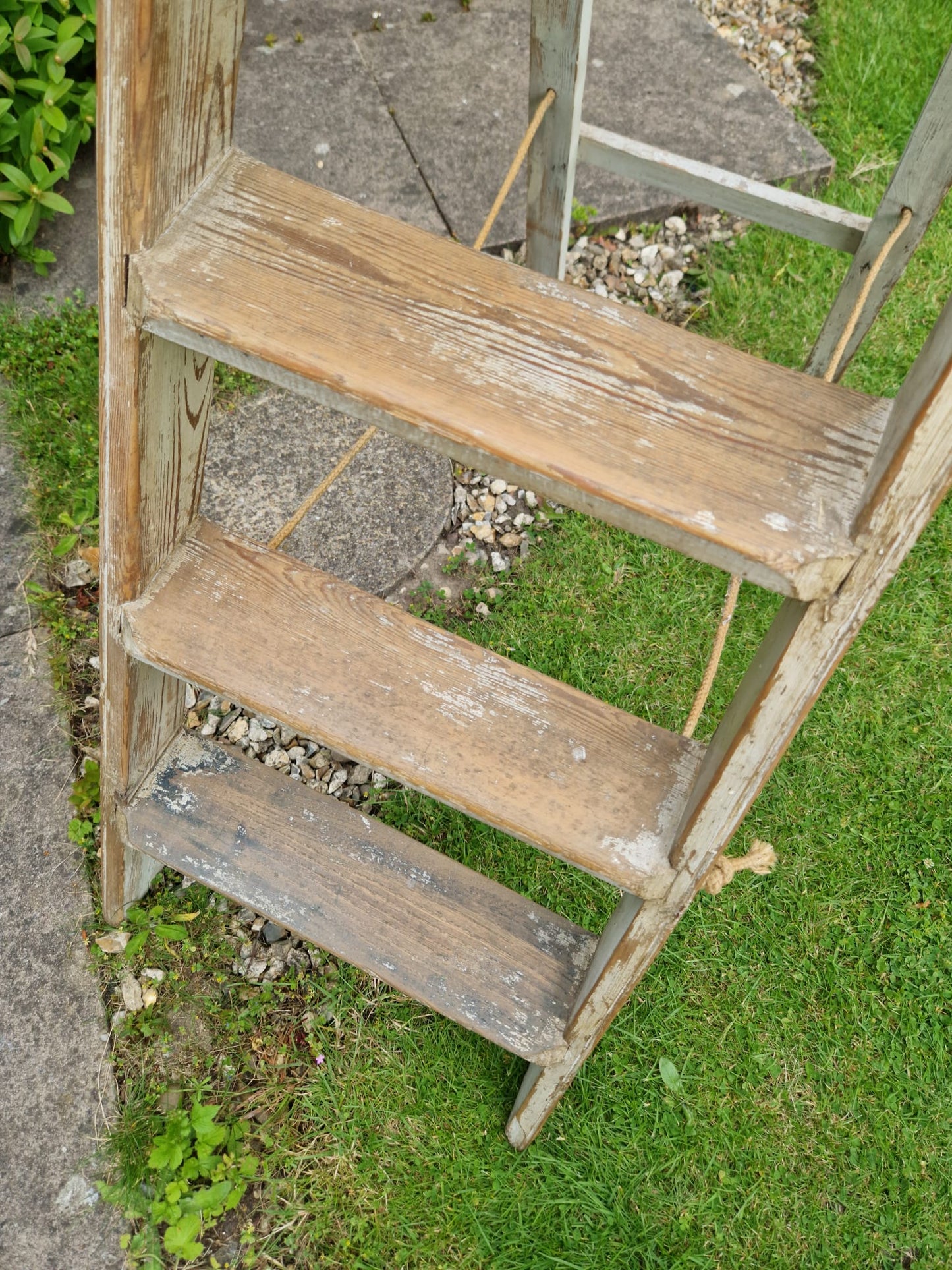 Vintage Ladders Cream Paint Great Prop Interiors Display Stepladders Rustic