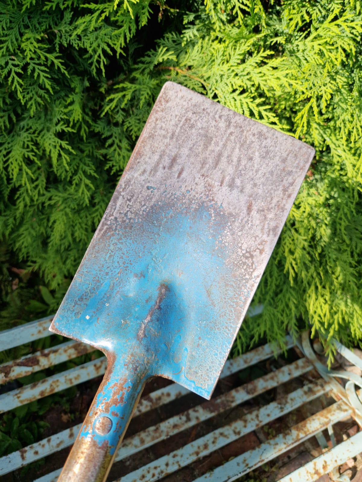 Vintage Rare Robin Brand Garden Small Spade Allotment Ladies 14 cm head