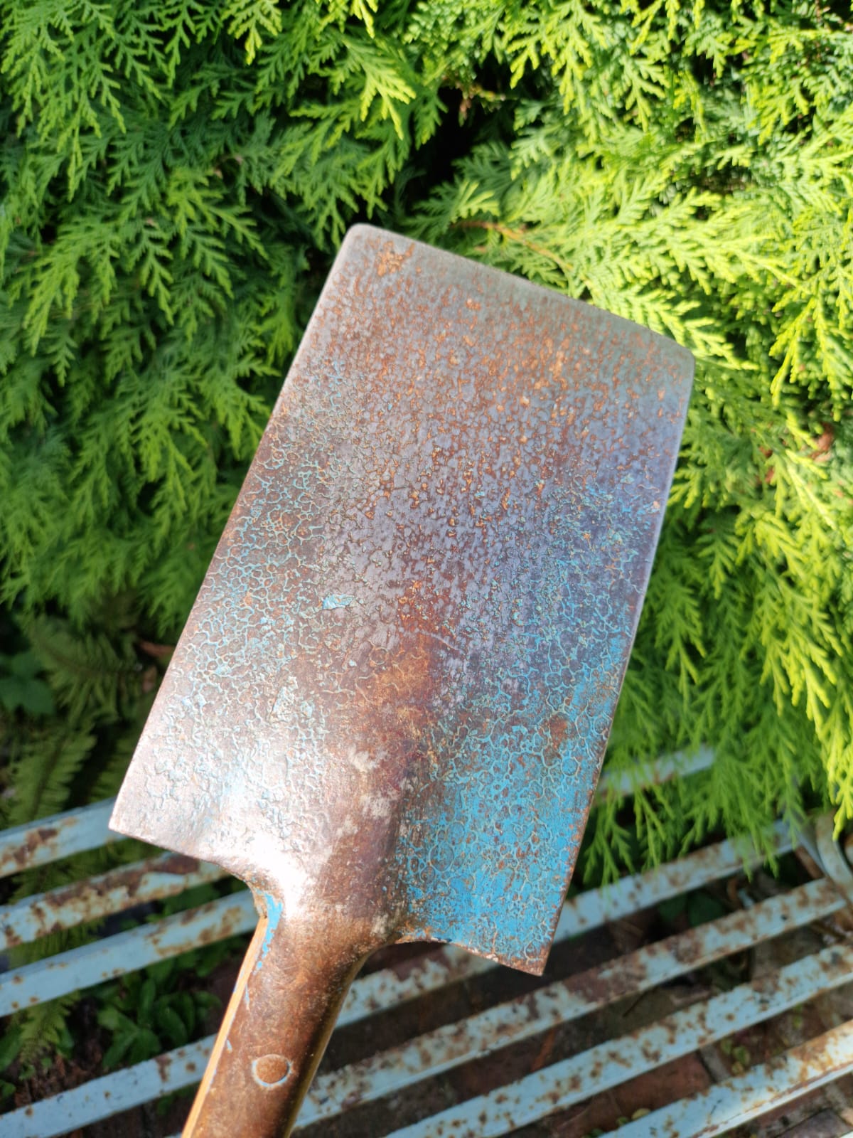 Vintage Rare Robin Brand Garden Small Spade Allotment Ladies 14 cm head