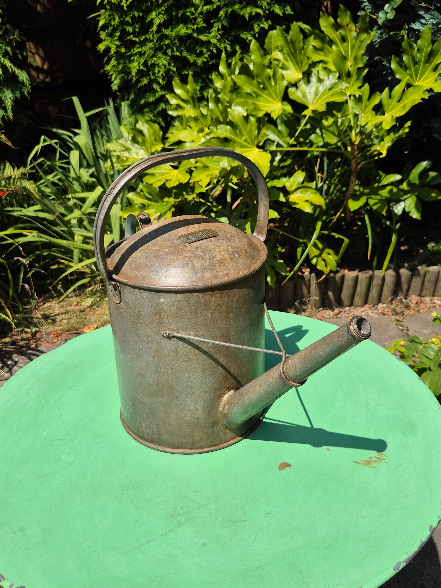 Galvanised Watering Can 2 Gallon Brass Badge