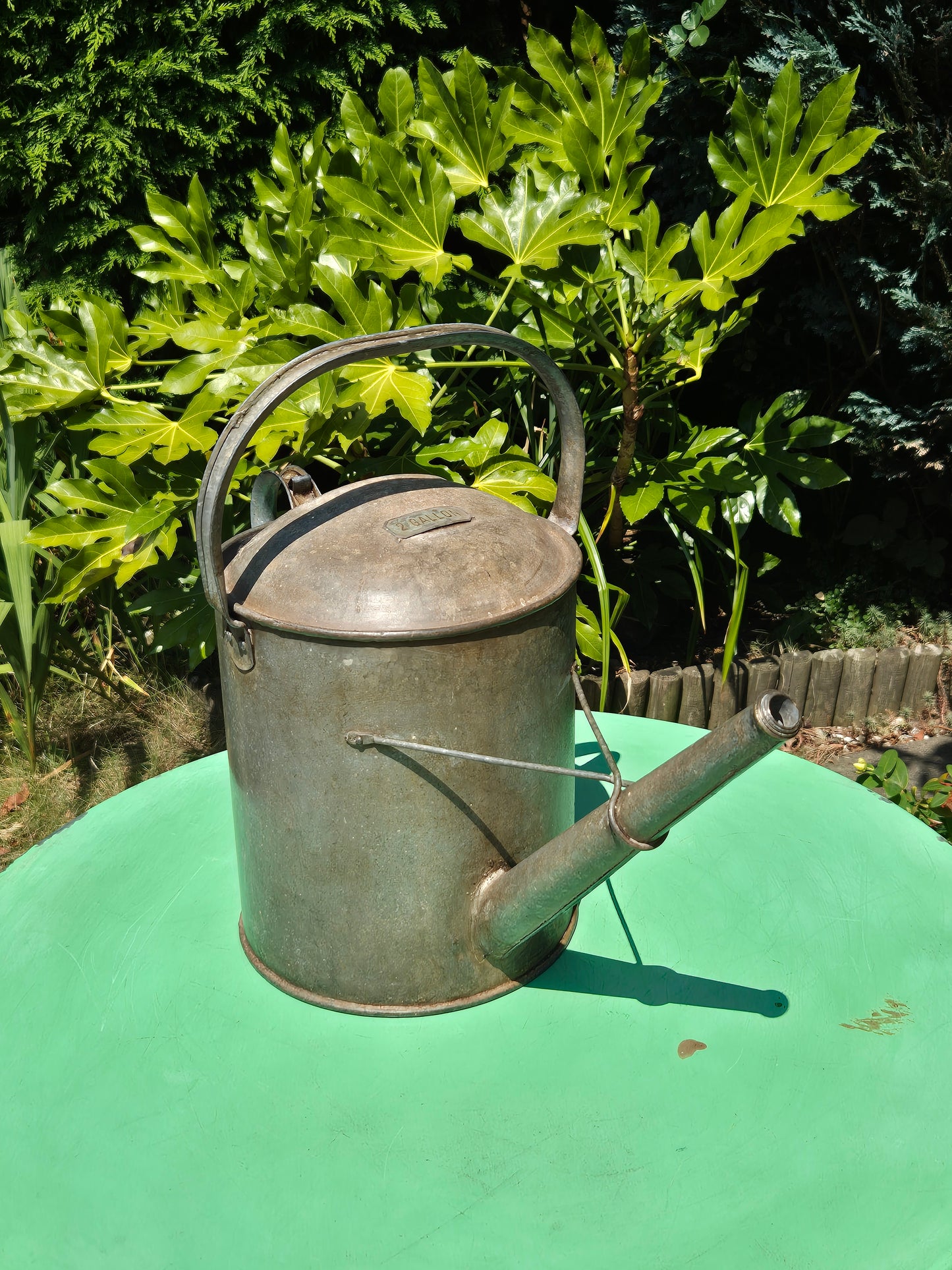 Galvanised Watering Can 2 Gallon Brass Badge
