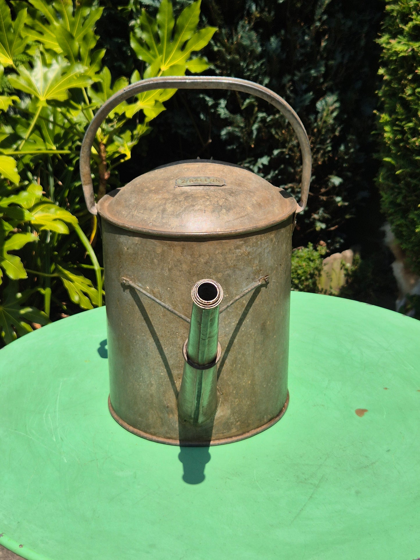 Galvanised Watering Can 2 Gallon Brass Badge