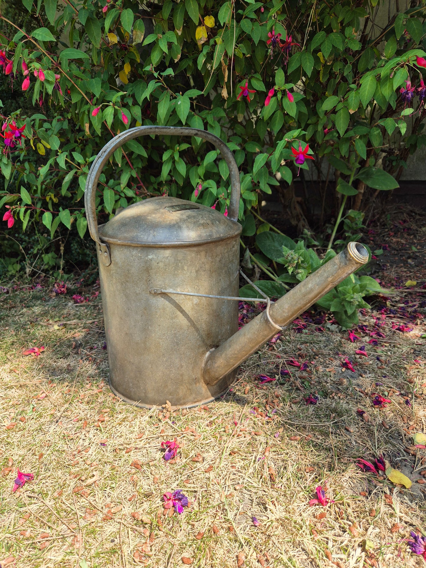 Galvanised Watering Can 2 Gallon Brass Badge