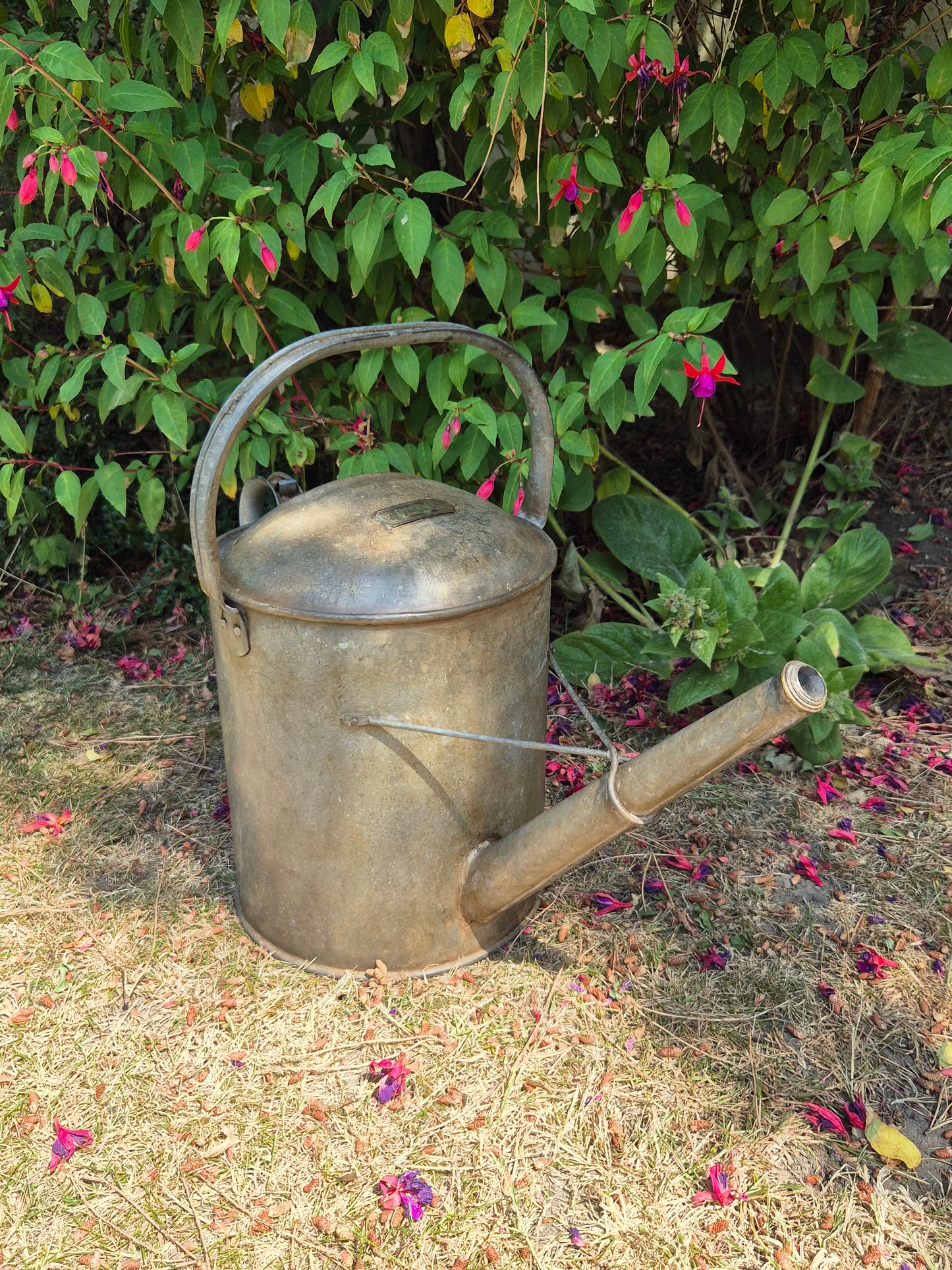Galvanised Watering Can 2 Gallon Brass Badge